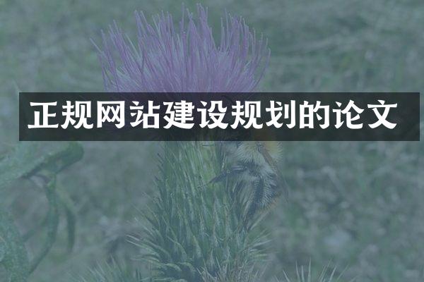 正规网站建设规划的论文