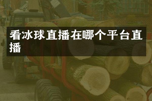 看冰球直播在哪个平台直播