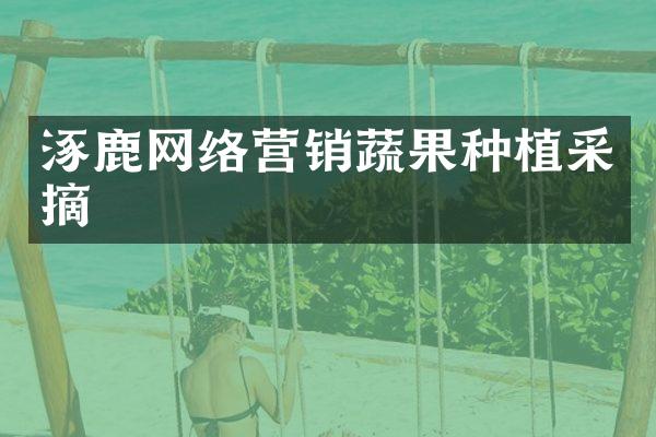 涿鹿网络营销蔬果种植采摘