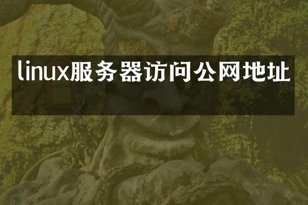 linux服务器访问公网地址吗