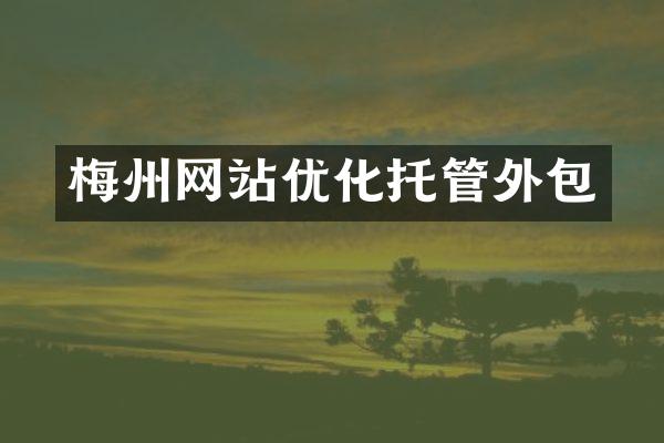 梅州网站优化托管外包