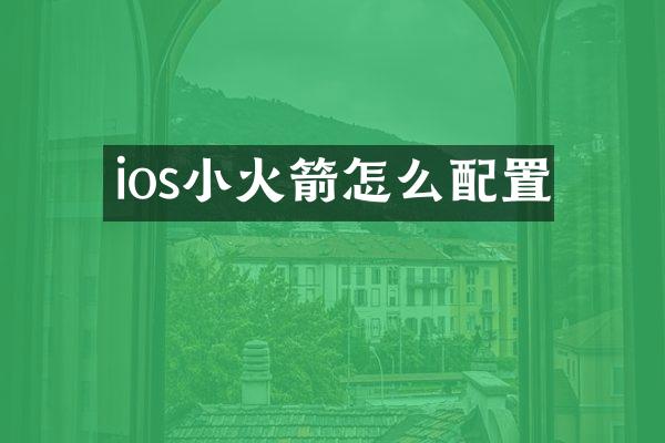 ios小火箭怎么配置