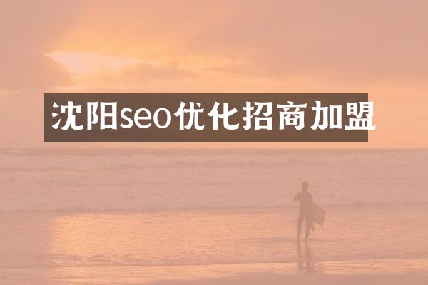沈阳seo优化招商加盟
