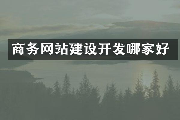 商务网站建设开发哪家好