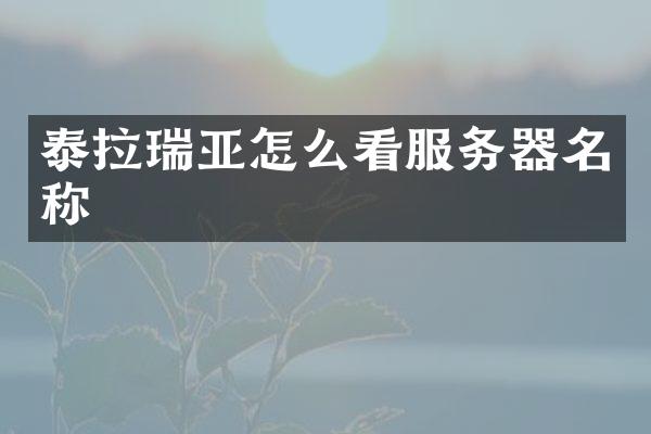 泰拉瑞亚怎么看服务器名称