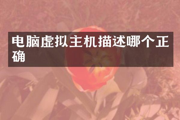 电脑虚拟主机描述哪个正确