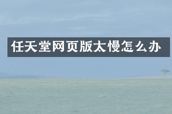 任天堂网页版太慢怎么办