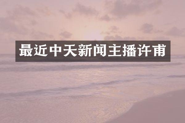 最近中天新闻主播许甫