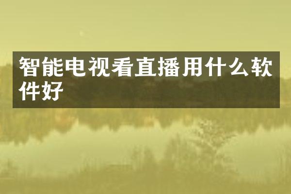 智能电视看直播用什么软件好