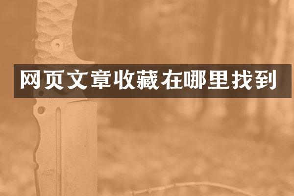 网页文章收藏在哪里找到