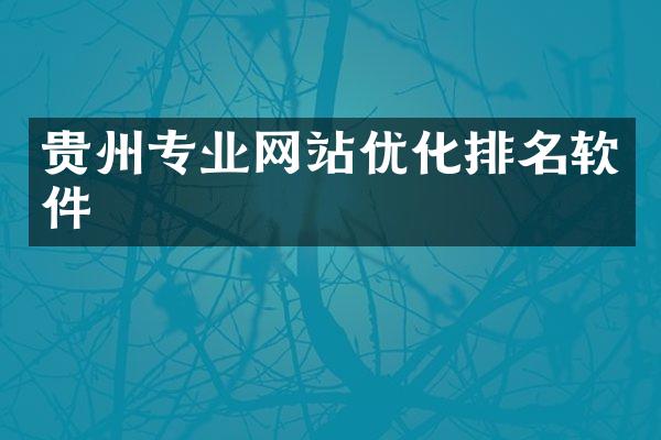 贵州专业网站优化排名软件