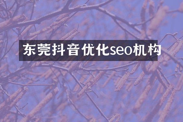 东莞抖音优化seo机构