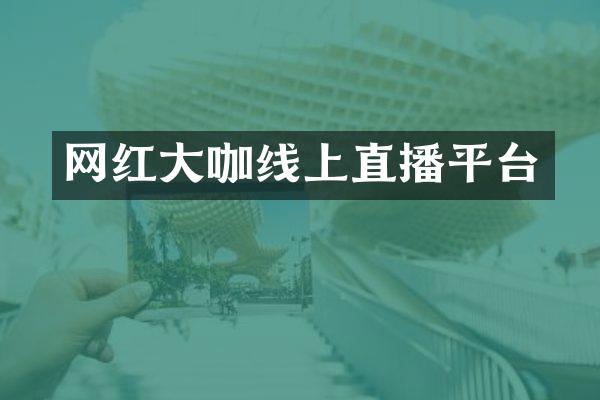 网红大咖线上直播平台