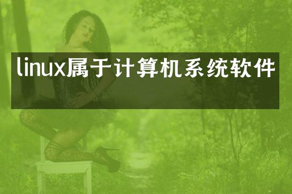 linux属于计算机系统软件吗