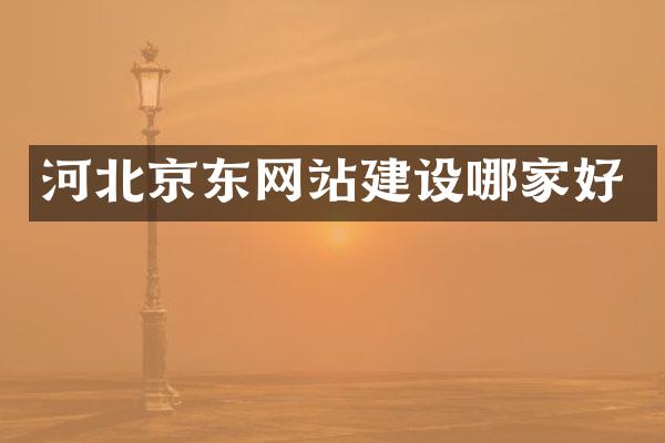 河北京东网站建设哪家好