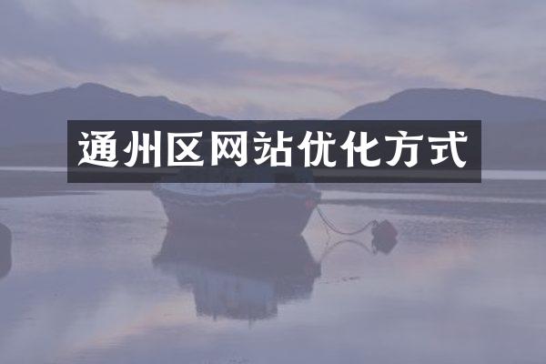 通州区网站优化方式