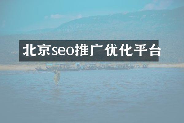 北京seo推广优化平台