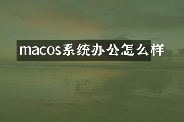 macos系统办公怎么样