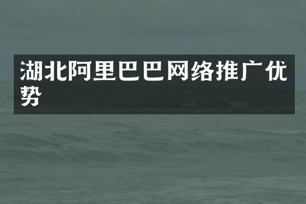 湖北阿里巴巴网络推广优势