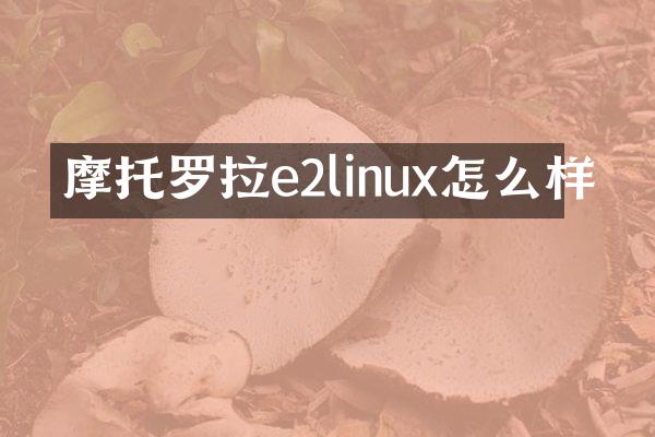 摩托罗拉e2linux怎么样