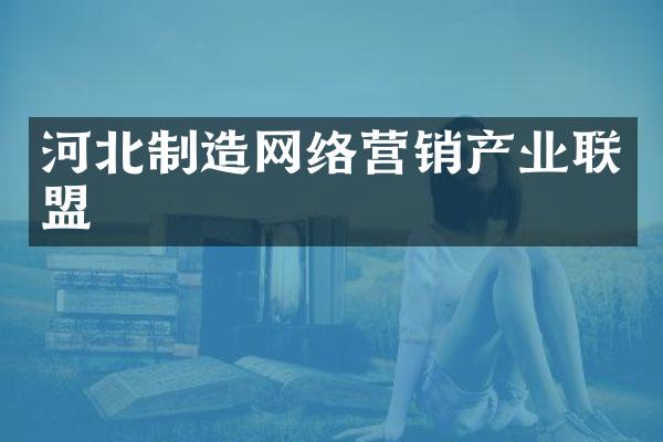 河北制造网络营销产业联盟