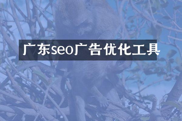 广东seo广告优化工具