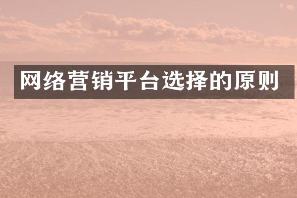 网络营销平台选择的原则