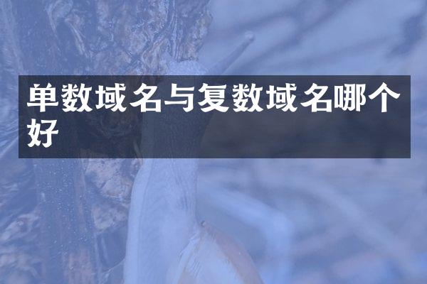 单数域名与复数域名哪个好