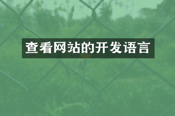 查看网站的开发语言