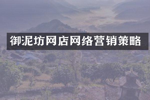 御泥坊网店网络营销策略