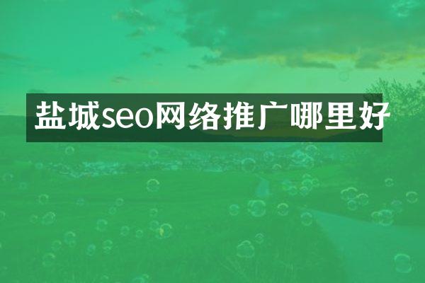 盐城seo网络推广哪里好