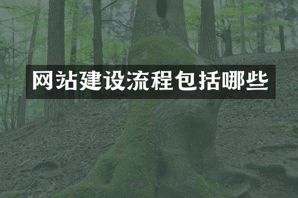 网站建设流程包括哪些
