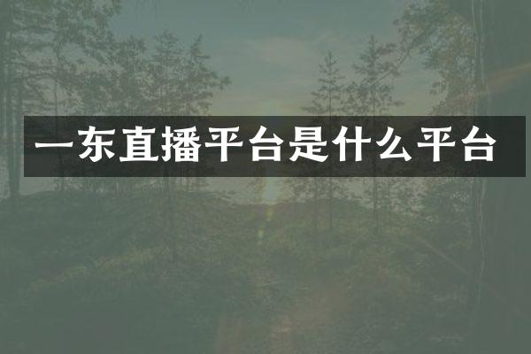 一东直播平台是什么平台