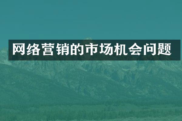 网络营销的市场机会问题