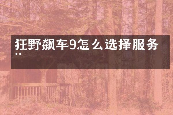 狂野飙车9怎么选择服务器