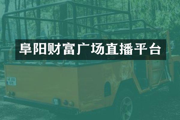 阜阳财富广场直播平台