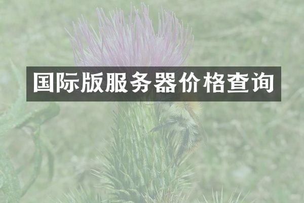 国际版服务器价格查询
