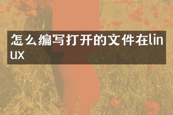 怎么编写打开的文件在linux