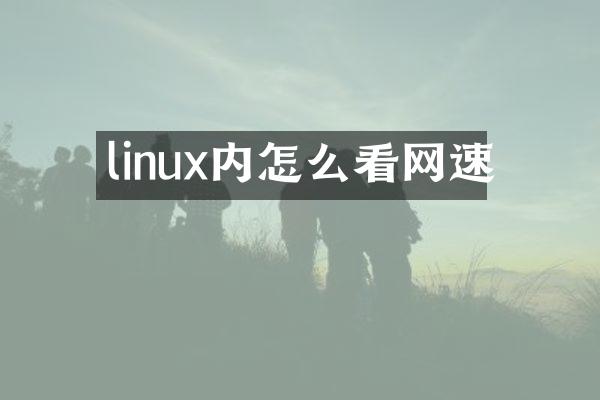 linux内怎么看网速