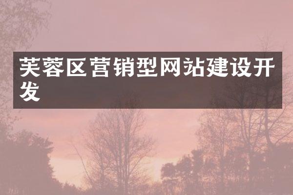 芙蓉区营销型网站建设开发
