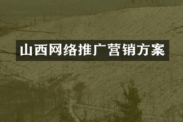 山西网络推广营销方案