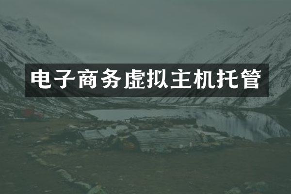 电子商务虚拟主机托管