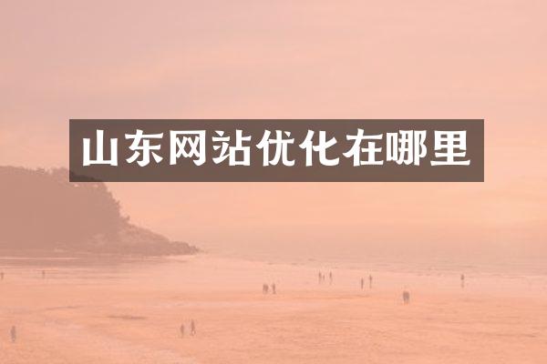 山东网站优化在哪里