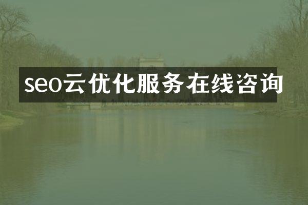 seo云优化服务在线咨询