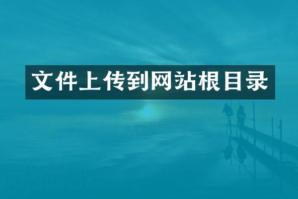 文件上传到网站根目录