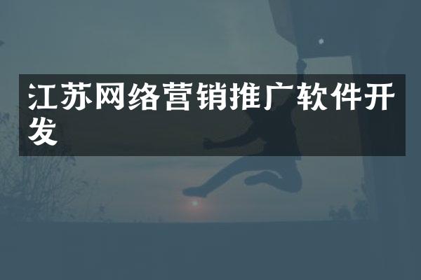江苏网络营销推广软件开发