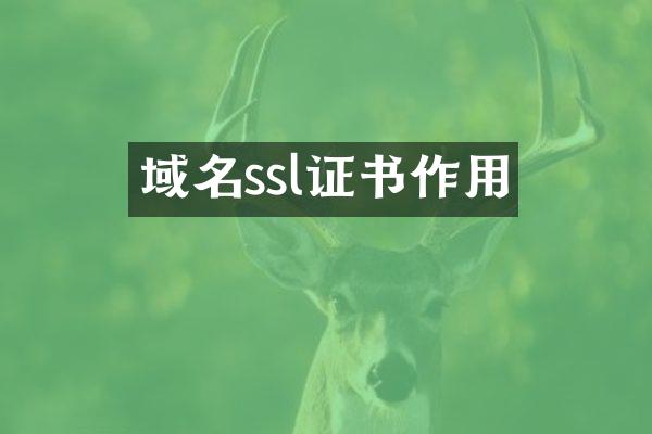 域名ssl证书作用