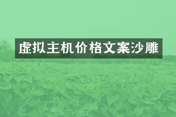 虚拟主机价格文案沙雕