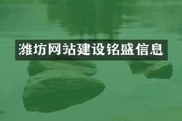 潍坊网站建设铭盛信息