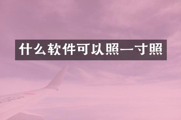 什么软件可以照一寸照